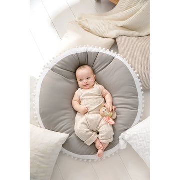 فراشة صانع مطر روبرت