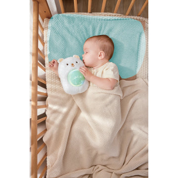 صديقي الموسيقي - بوبو للاحتضان