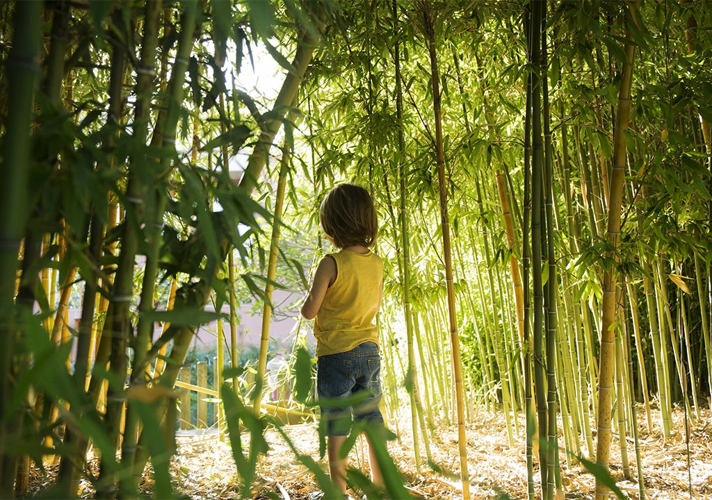 How Bamboo Toys Are Shaping the Future of Play