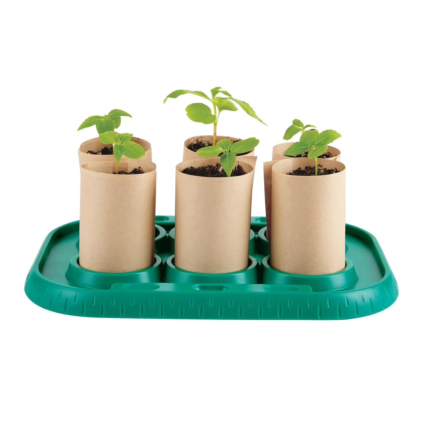 Growing Gardeners Greenhouse - Hape MENA