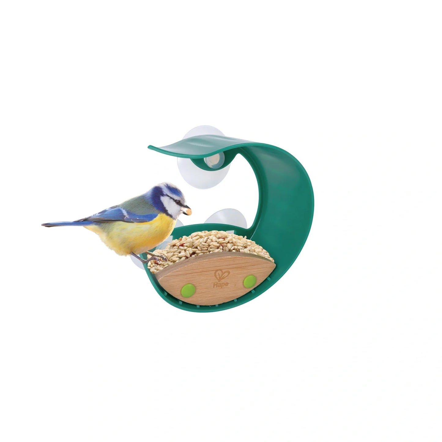 Window Bird Feeder - Hape MENA