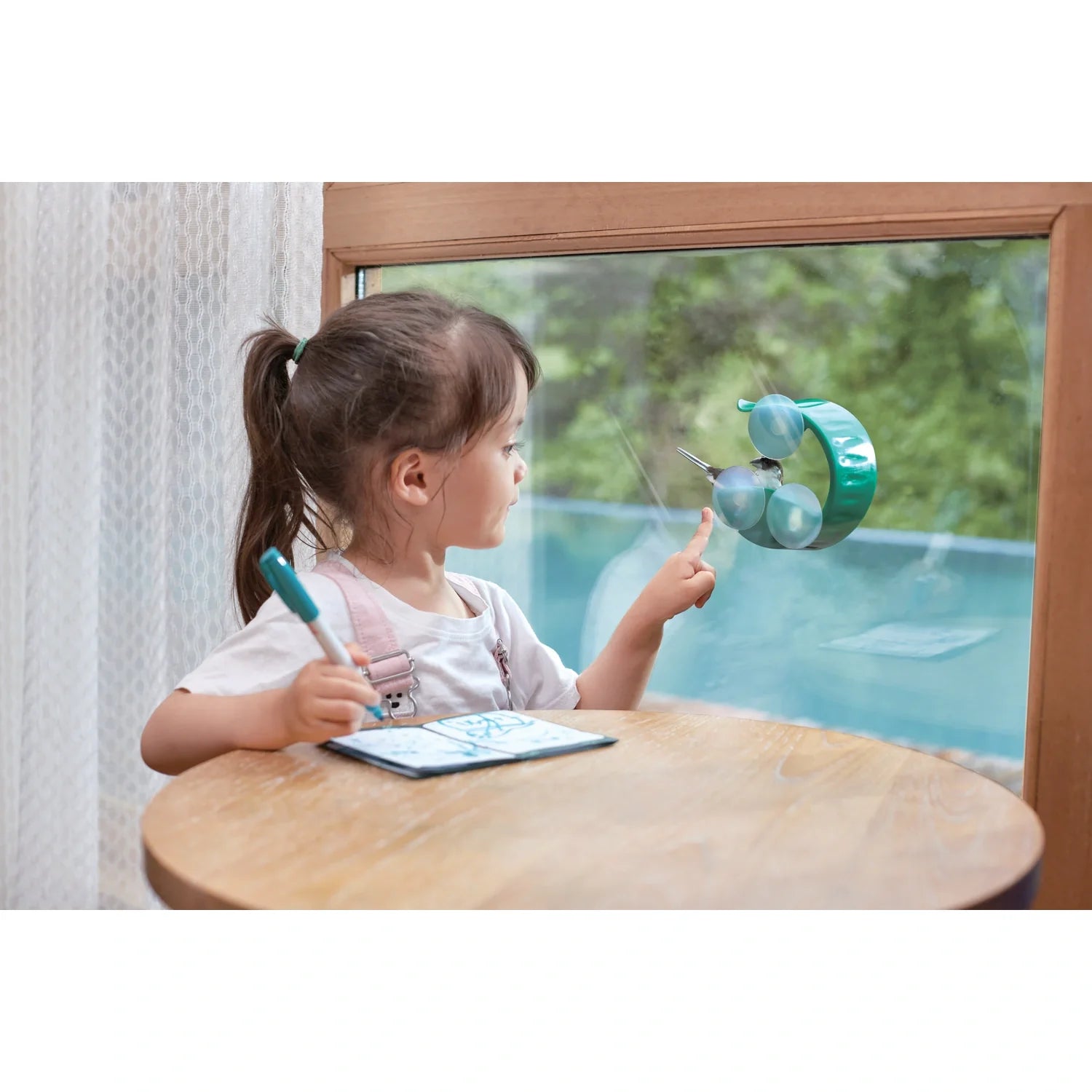 Window Bird Feeder - Hape MENA