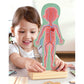 Human Body Magnetic Puzzle - Hape MENA