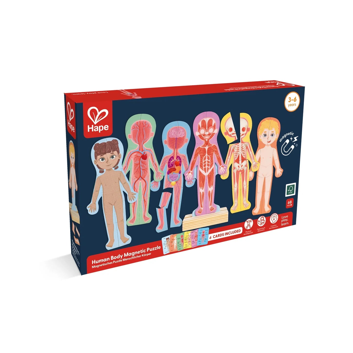 Human Body Magnetic Puzzle - Hape MENA