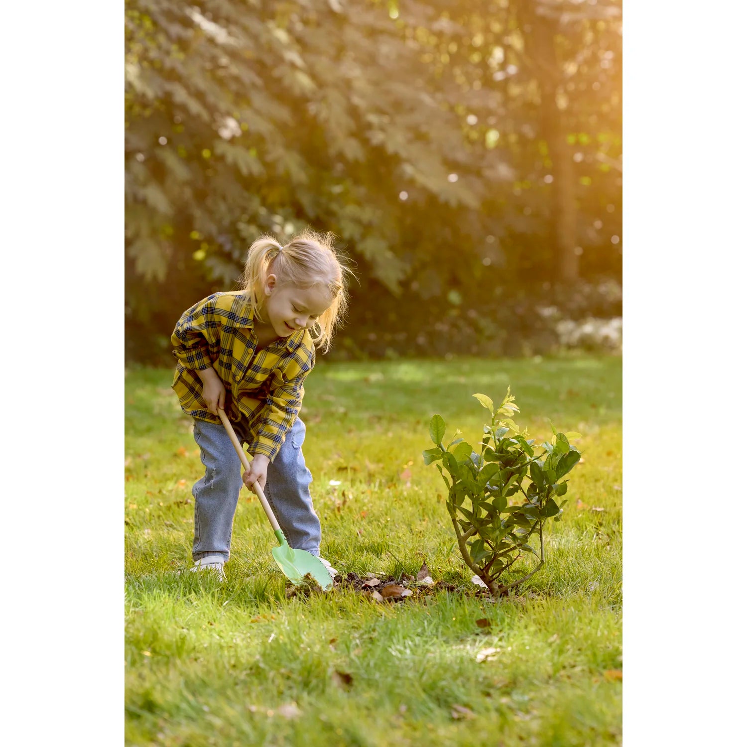 Child planting a tree in a garden with sunlight filtering through trees