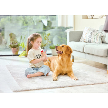 Child playing with a dog in a living room