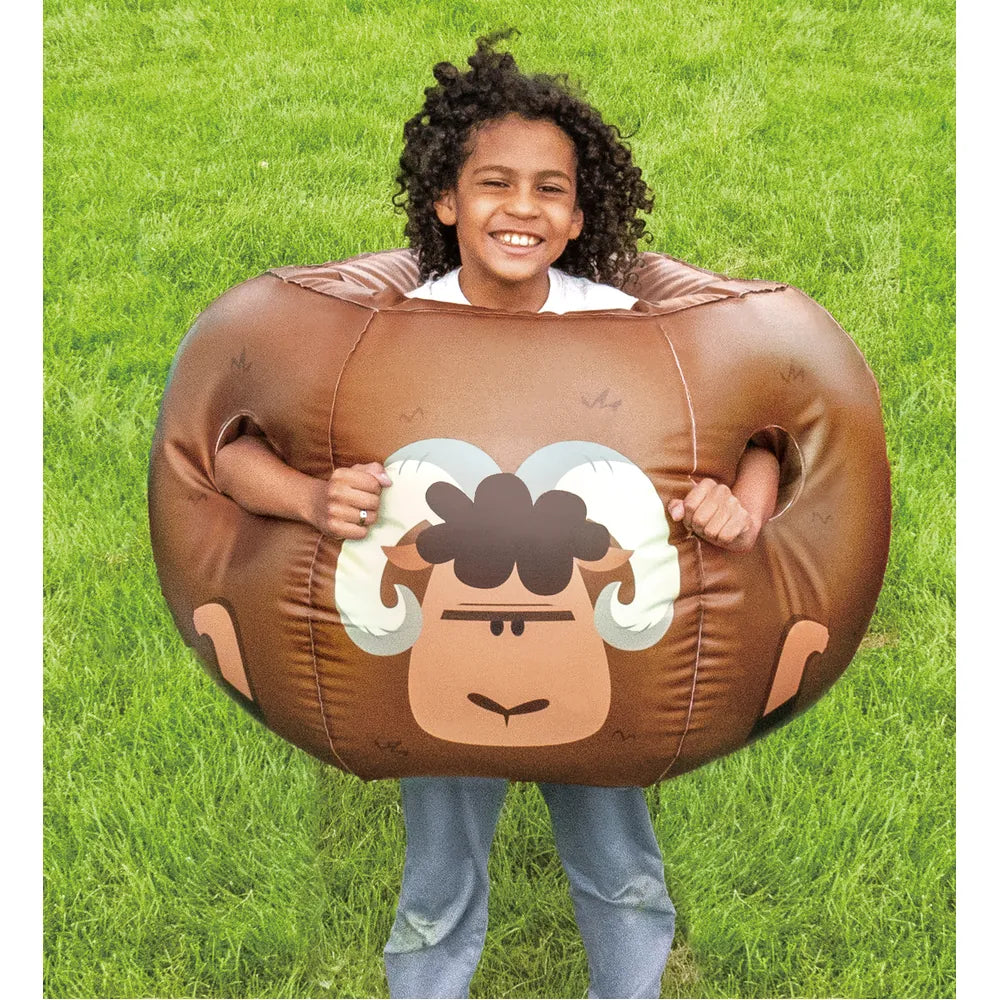 Blow-Up Bumper Balls (Set Of 2)