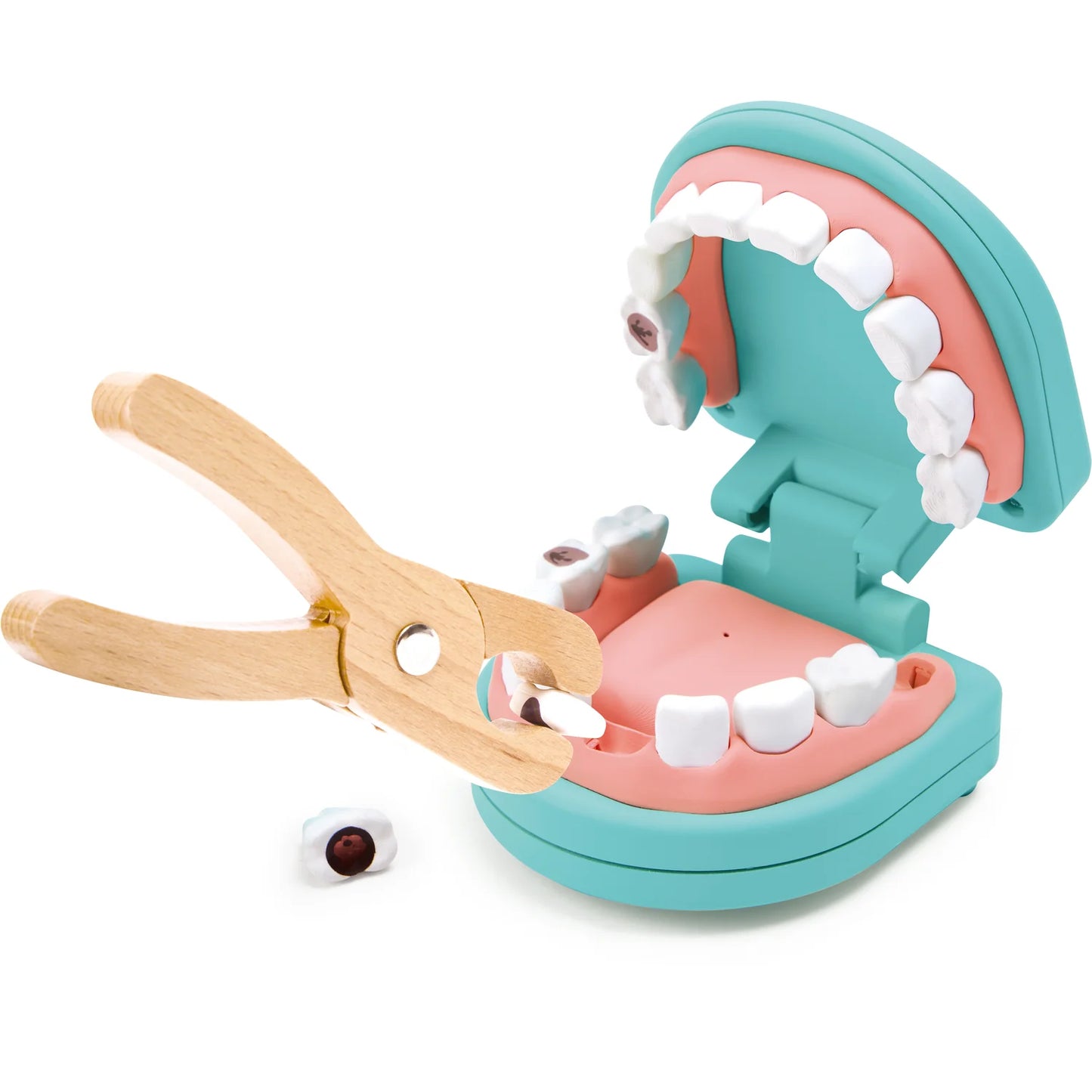 Toy dentures with a wooden clip on a white background